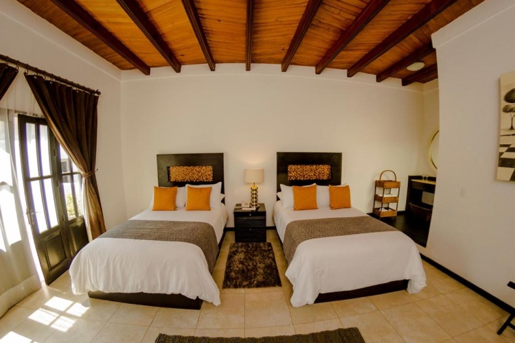 Terrace Junior Suite