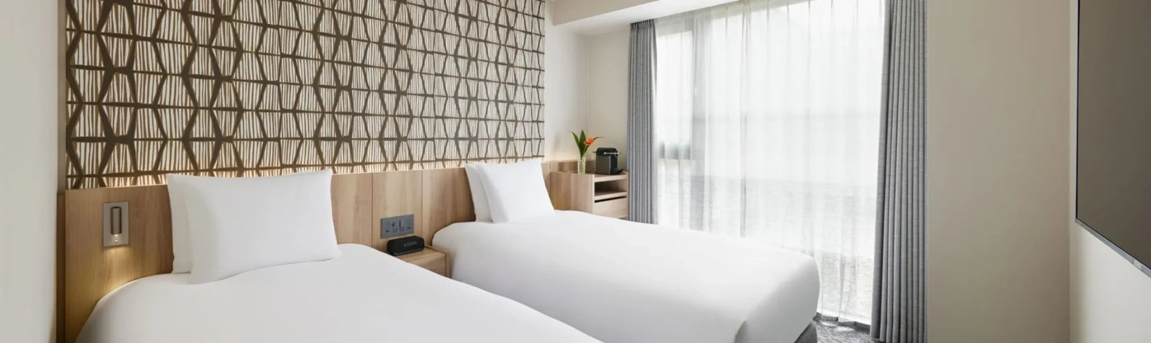 Deluxe Twin room with city view