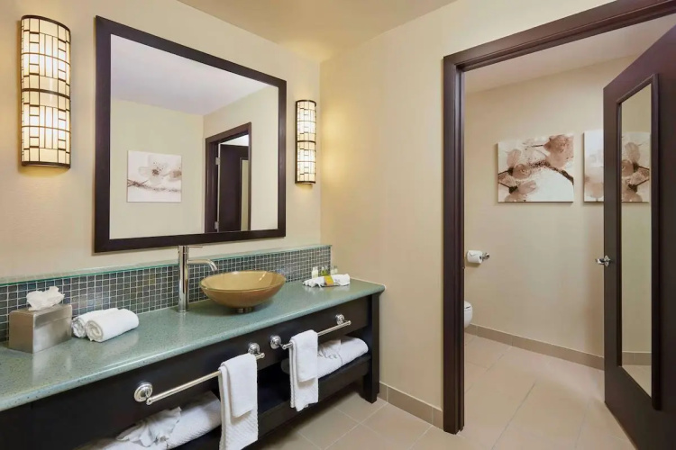 DoubleTree by Hilton Hotel Orlando at SeaWorld photo 12