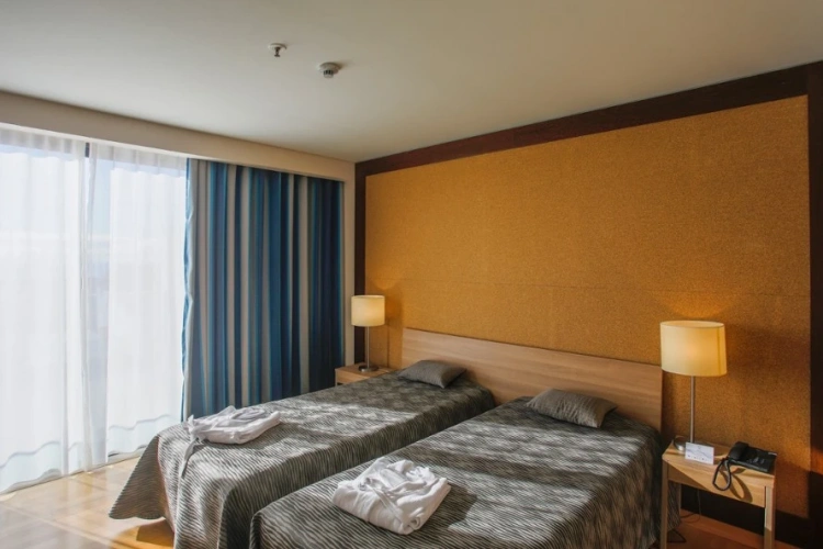 1 Bedroom Premium Twin Apartment