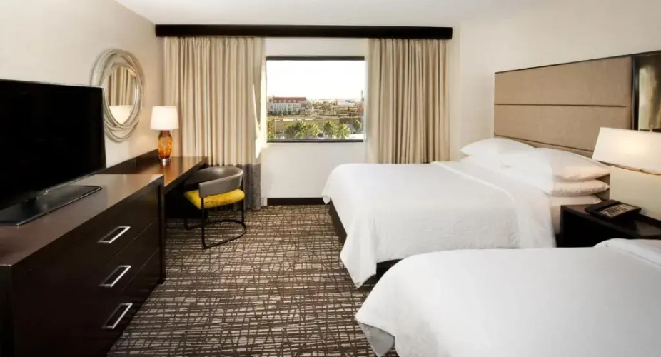 Premium Twin Suite
