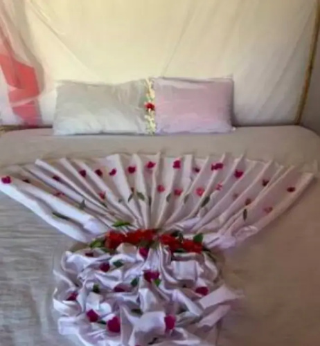 New Jambo Bungalows - Hostel