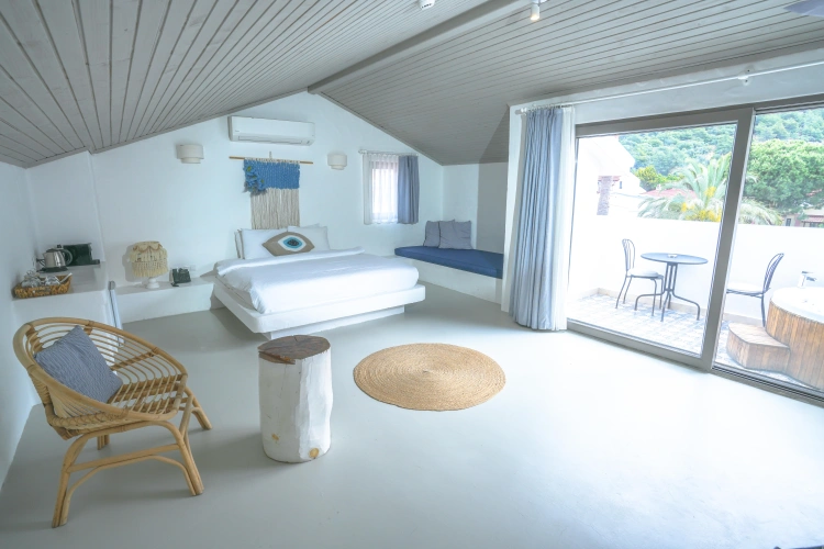 Penthouse Double room