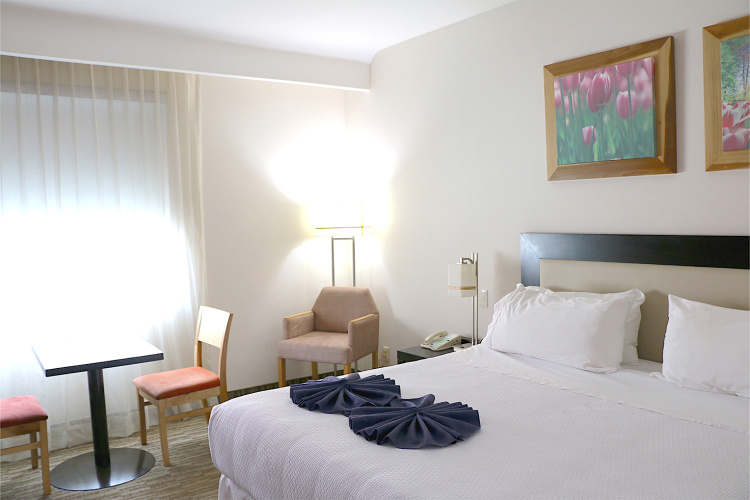 Superior Double Suite