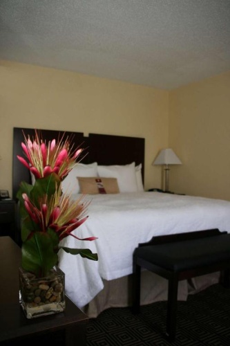 MOBILITY/HEARING ACCESS Double room