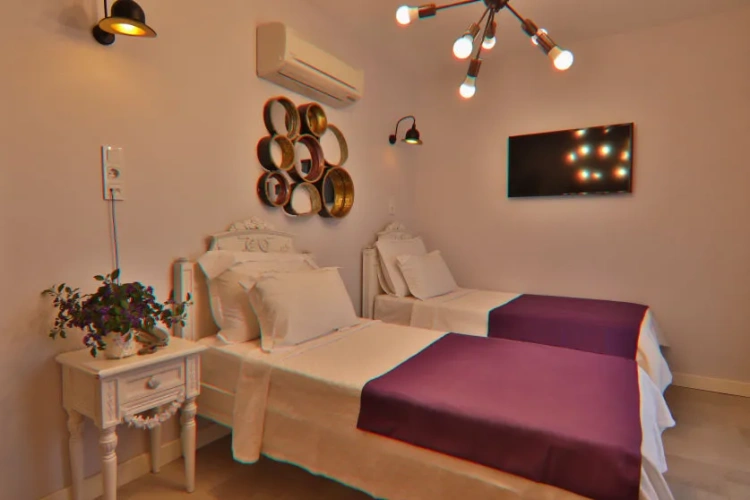Fluorite Deluxe Twin room