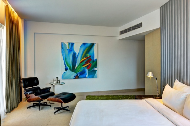 Double Avasa Studio Suite