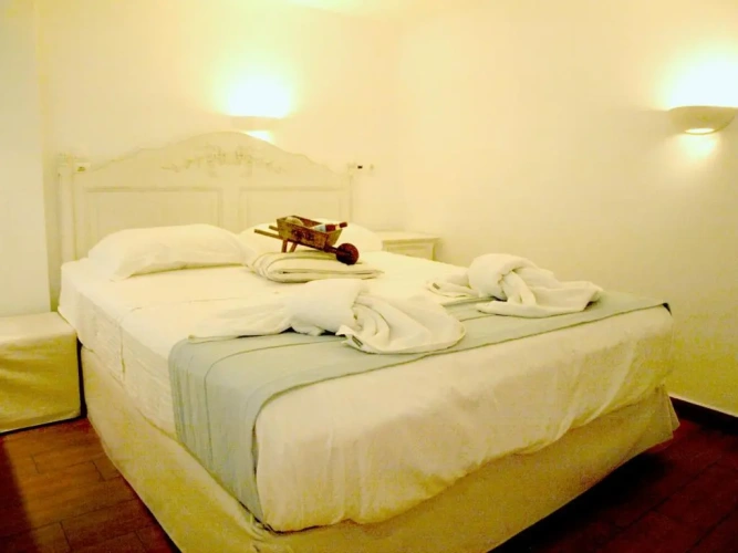 Basic Double room