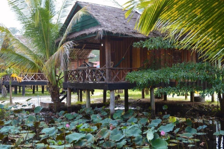 Family Bungalow beachfront