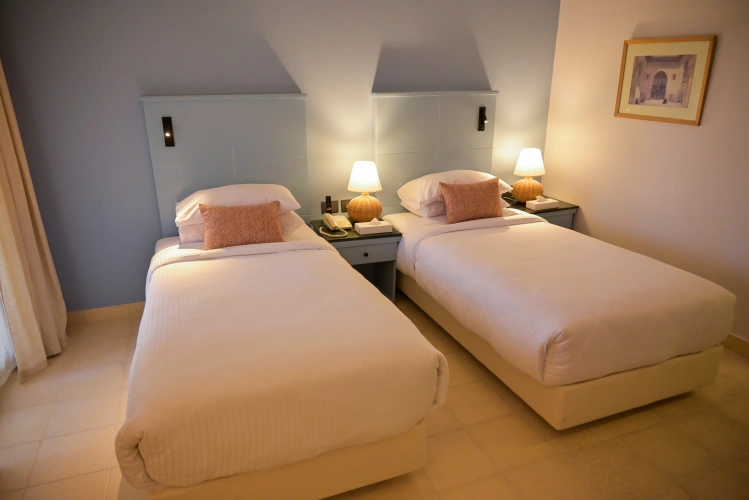 Superior Twin room with garden view