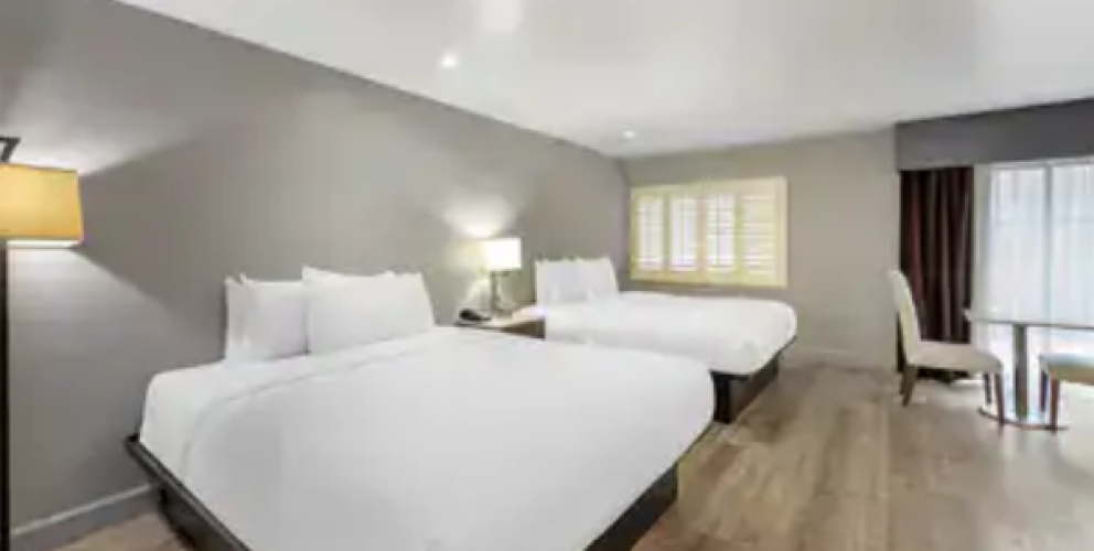 1 room Patio Twin Suite