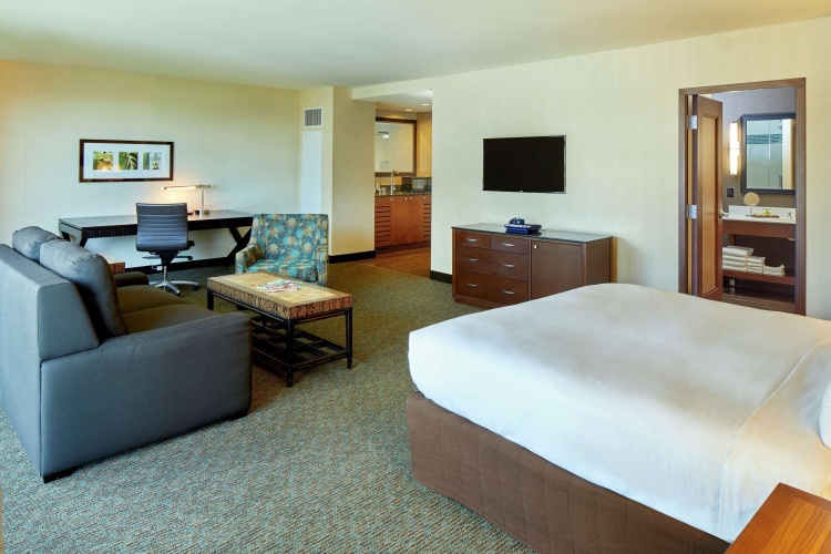 Waikiki Double Suite with view