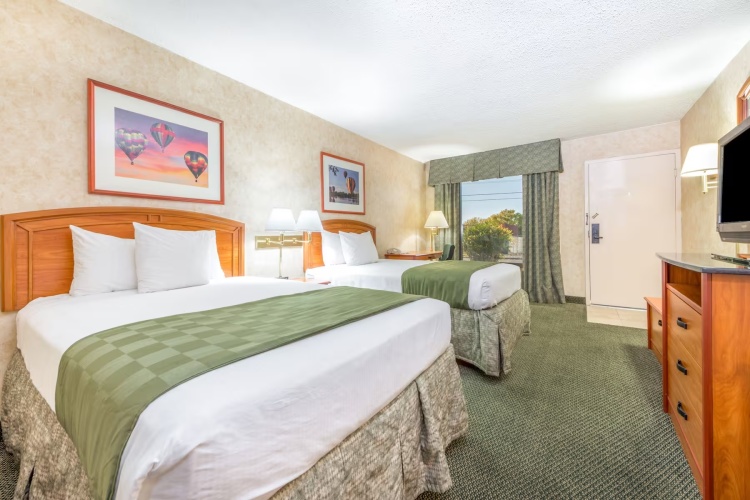 1 Bedroom Quadruple Suite
