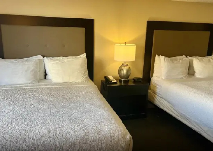 1 Bedroom Deluxe Twin Apartment