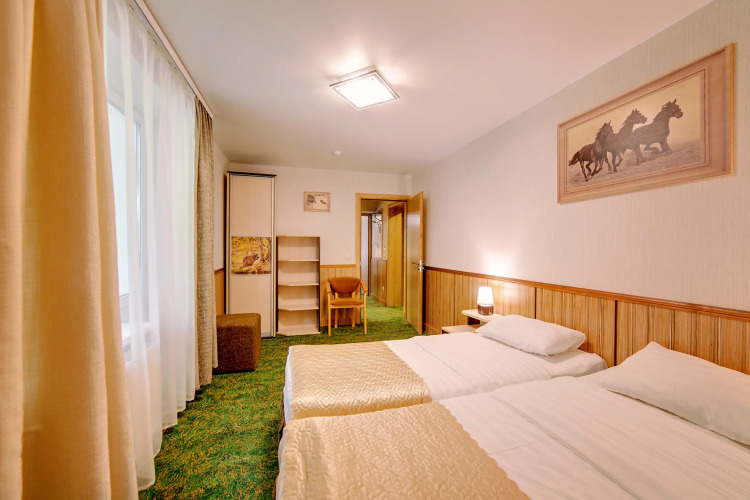 Фотография номера гостиницы Яхонты Таруса