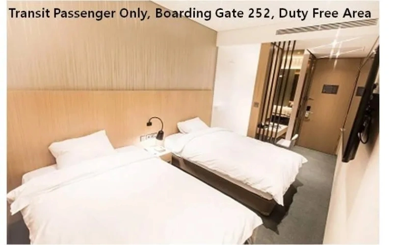 Standard (no window) Double room