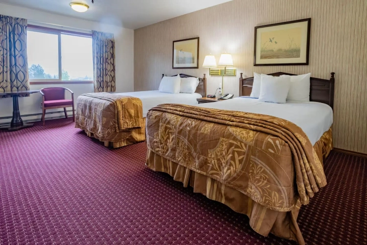 Mobility Accessible Twin room