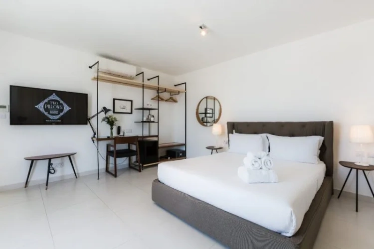 Double Penthouse Suite with city view