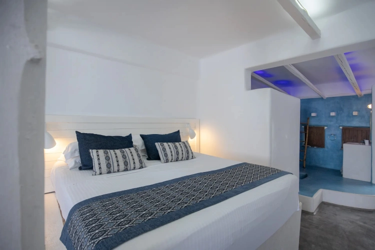 Executive Double Suite