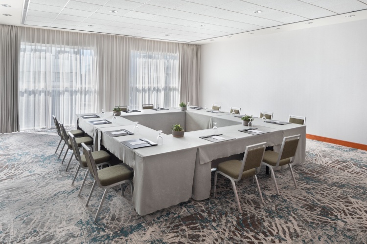 The Westin Buckhead Atlanta photo 35