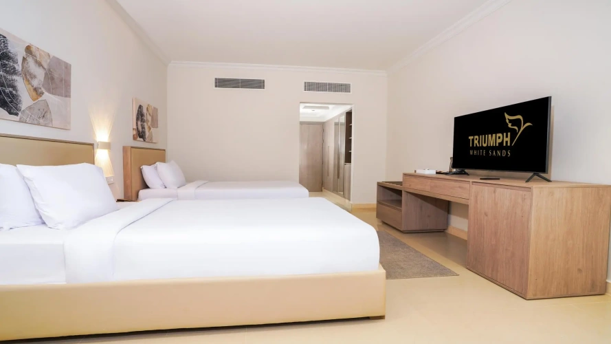Deluxe Double room with city view