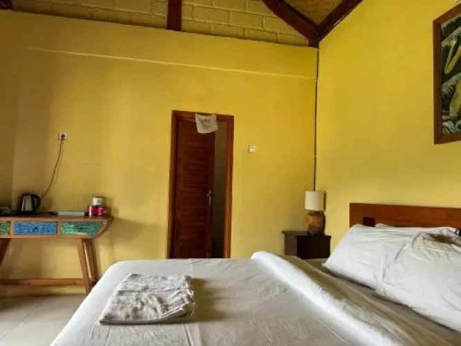 Standard Double room with lake view