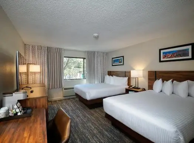 Accessible East Twin room