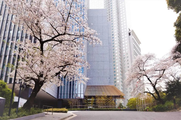 The Capitol Hotel Tokyu photo 27