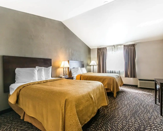 Hearing Accessible and Kitchenette Twin room