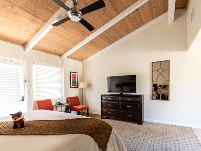 Deluxe Double room with garden view