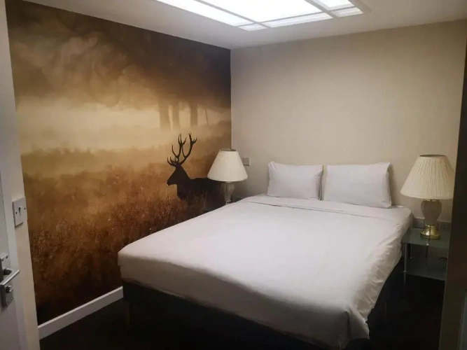 Without Window Double room