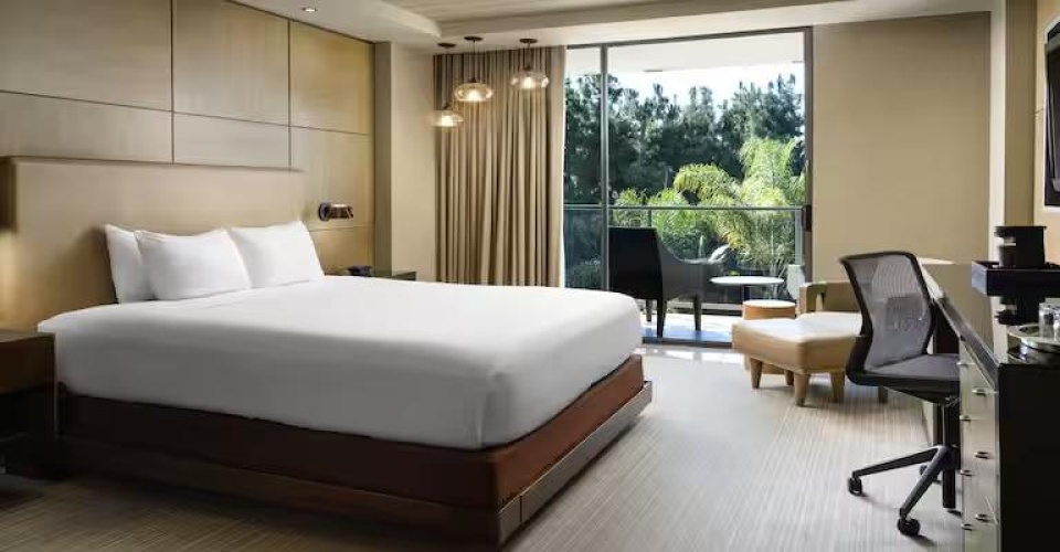 Deluxe Double Accessible room