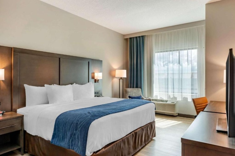 Standard Double room