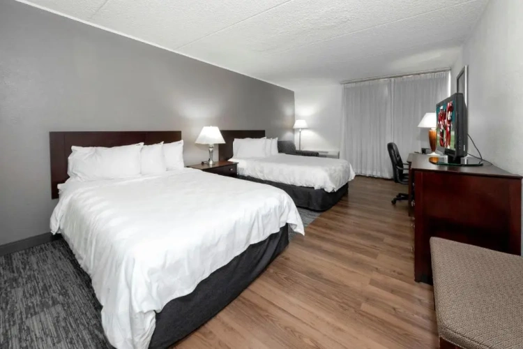 Premium Quadruple room