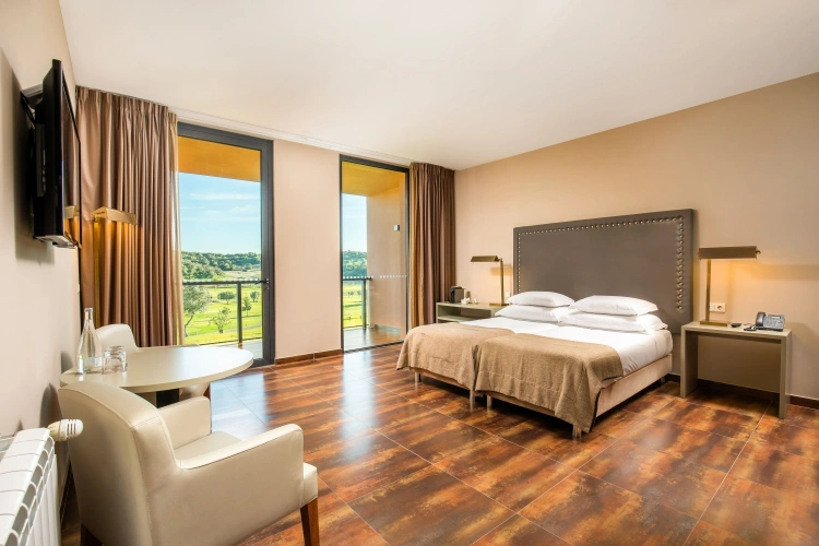 Superior Double room