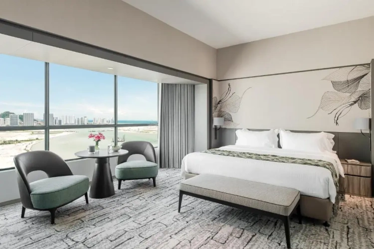 Premier Double Studio with city view