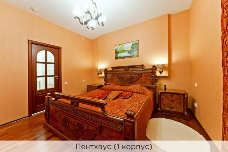 Фотография номера гостиницы Коломяжский Визит