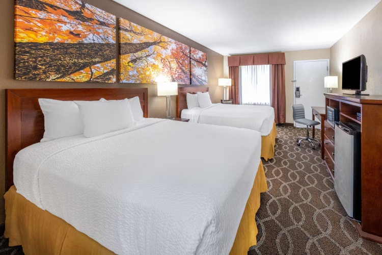 Twin room