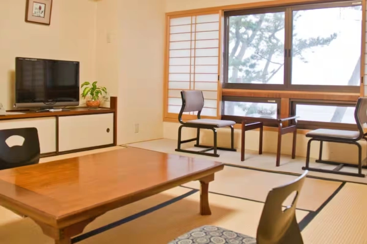 Guest Twin room