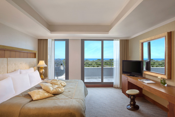 Deluxe Executive Double Suite