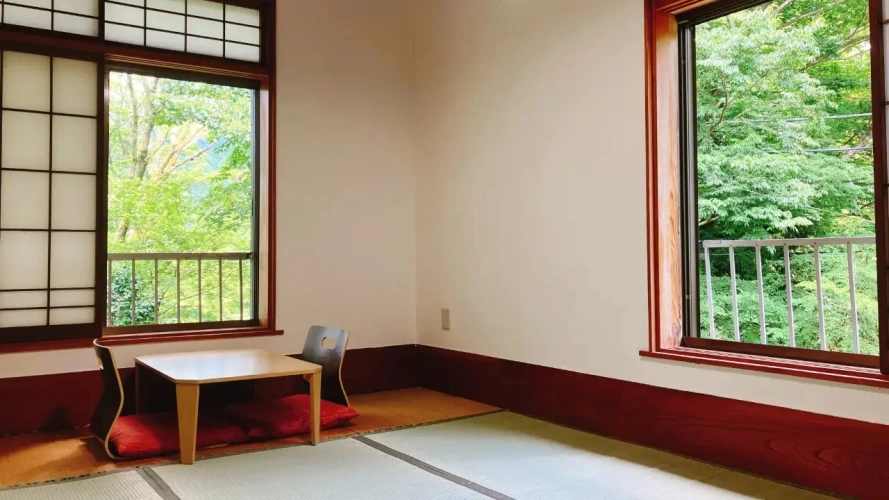 Room with mountain view