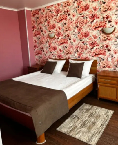 Фотография номера гостиницы Аэропорт 