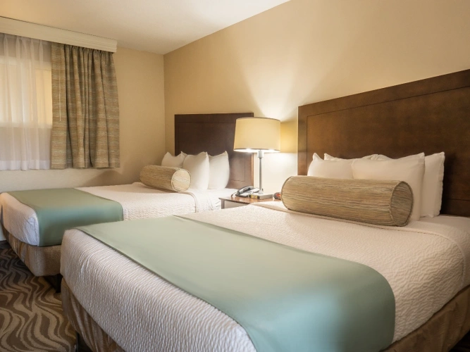 1 Bedroom Twin Suite