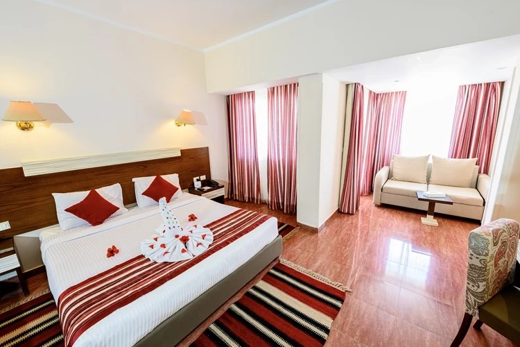 Standard Double room