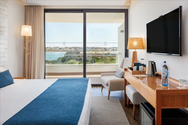 Deluxe Double room with river view