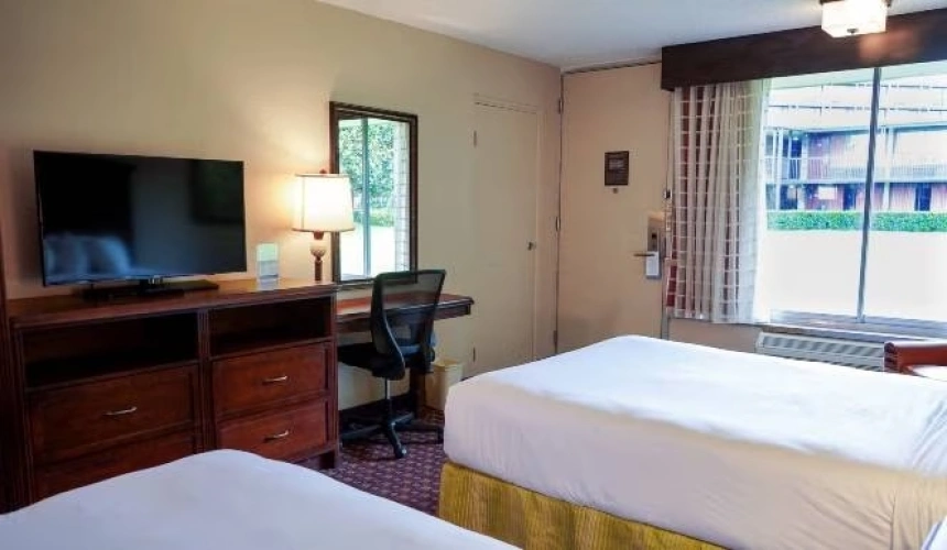 Accessible Twin room