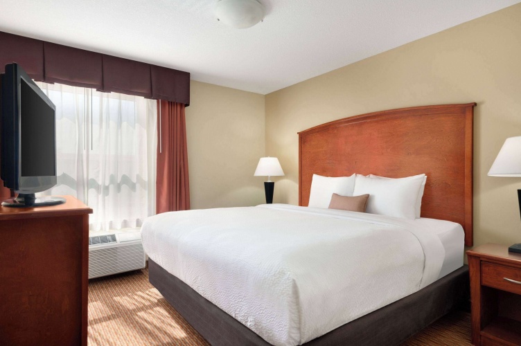1 Bedroom Accessible Non Smoking Double Suite
