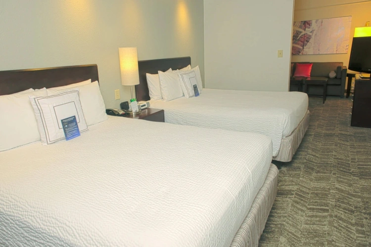 Twin Suite