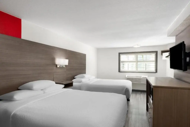 Pet Friendly Quadruple room