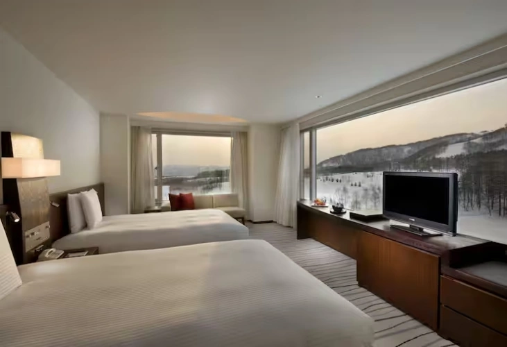 Deluxe Panorama Twin room